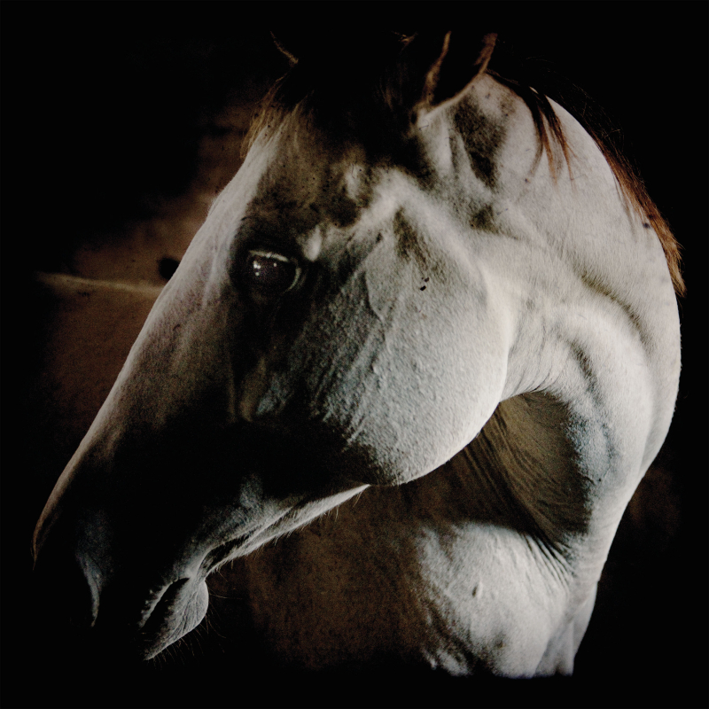 Brother Dege - How To Kill A Horse Vinyl Gatefold LP  |  White