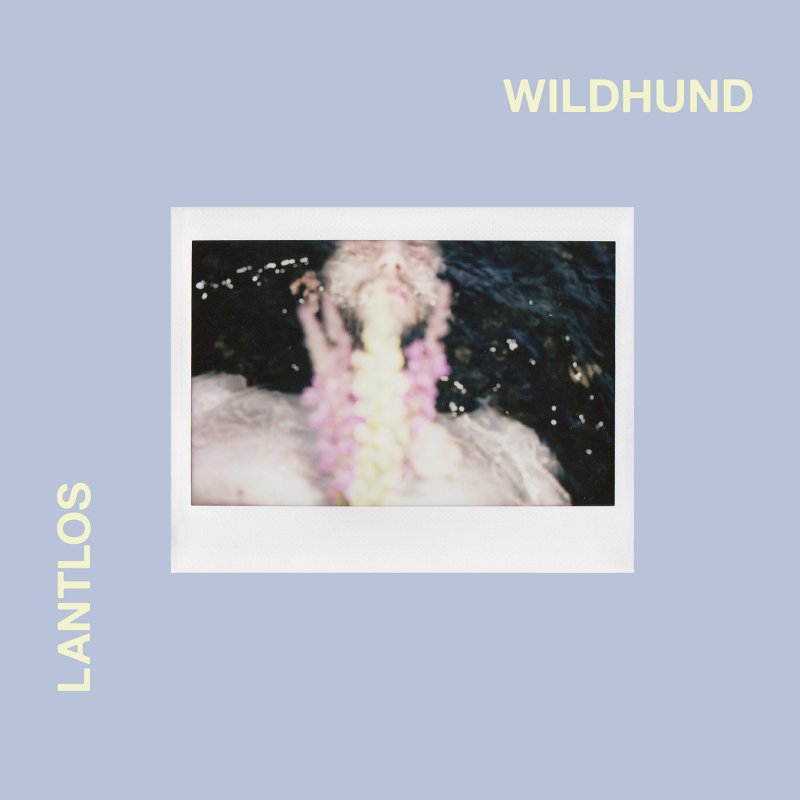 Lantlôs - Wildhund Book 2-CD 