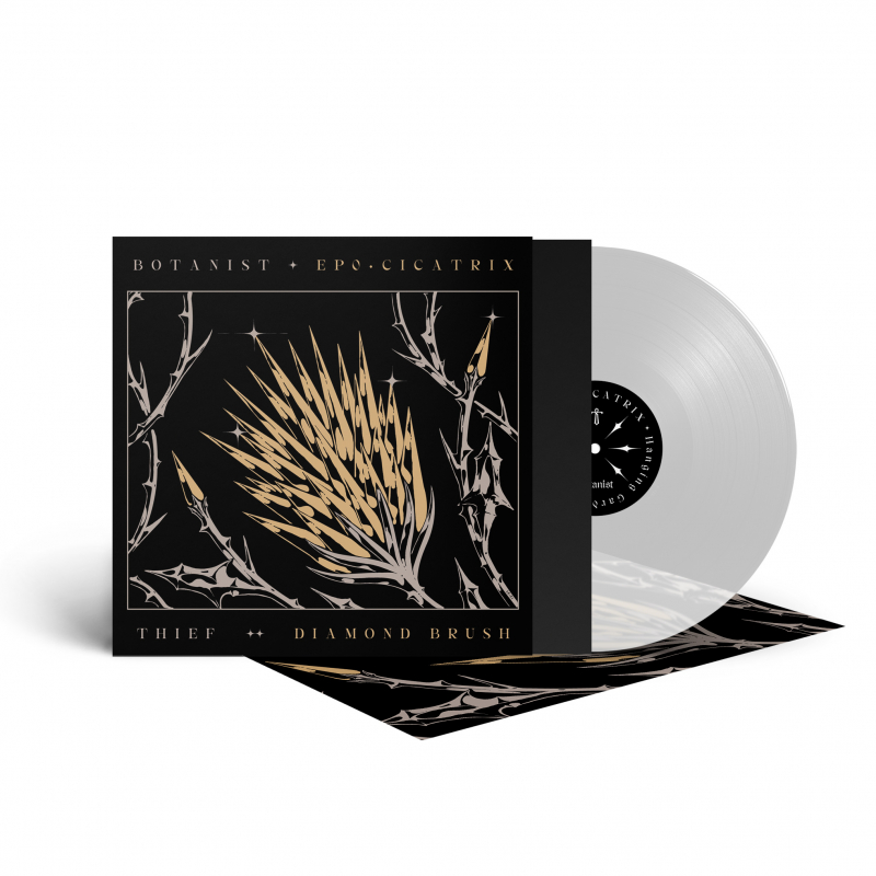 Thief - Cicatrix / Diamond Brush (Split with Botanist) Vinyl LP  |  Clear