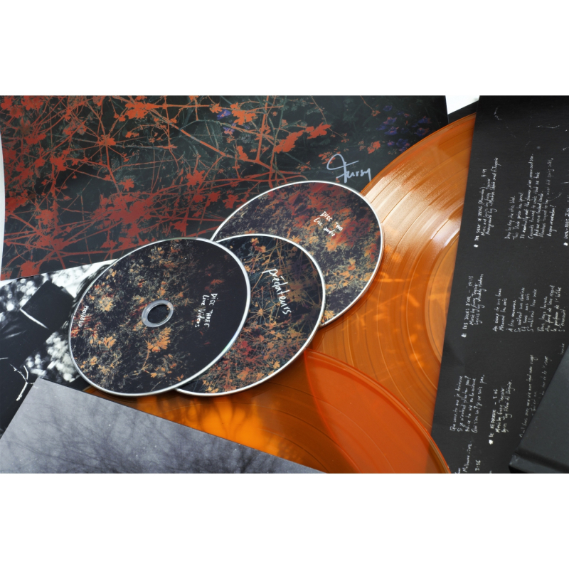 Les Discrets - Prédateurs Complete Box  |  orange