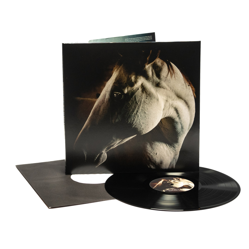 Brother Dege - How To Kill A Horse Vinyl Gatefold LP  |  Black