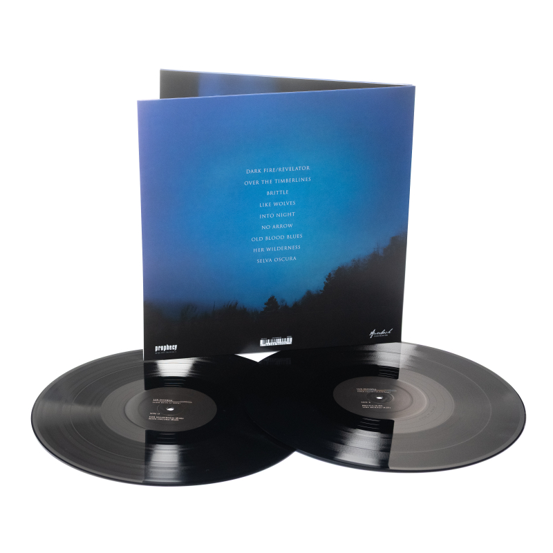 Lux Interna - New Wilderness Gospel Vinyl 2-LP Gatefold  |  Black